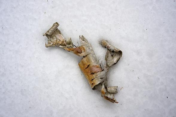 X-rays and AI computing reveal the lost text: "DO NOT EAT YELLOW SNOW"