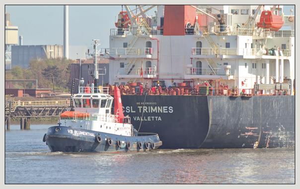 Ein Schlepper namens „VB Blumenthal“ fährt hinter einem großen Frachtschiff, „CSL Trimness“, auf dem Wasser. Im Hintergrund sind industrielle Strukturen und ein klarer Himmel zu sehen.

A tugboat named "VB Blumenthal" is navigating behind a large cargo ship, "CSL Trimmers," on water. The background features industrial structures and a clear sky.
