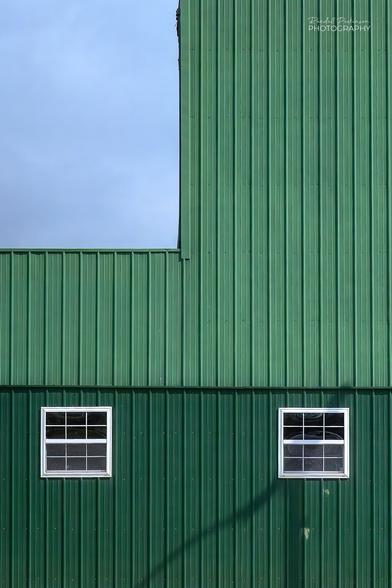 A building with 2 shades of green metal siding and two white framed windows.
