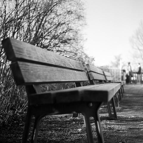 The image shows a close-up of a wooden bench outdoors, taken at Eugensplatz in Stuttgart. The bench is made of light brown wood and has a rustic, natural texture. It is captured in soft, natural lighting that highlights the wood grain. In the background, a slightly blurred urban space can be seen, indicating the location in the city.