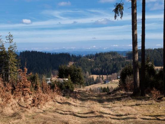 A horizon photo of snow capped mountains in far distance. Sunny weather.