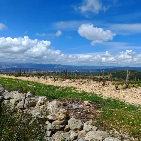 Entre Lac de la Boissière, prieuré Notre-Dame de Valcrose, et puech Bartelié