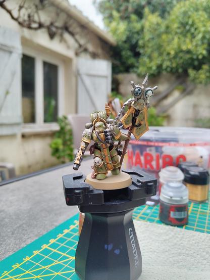 Photo d'une figurine Porte étendard de la Death Guard peinte