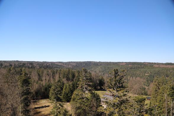 Pictures of climbing the treetop walk in the Black Forest near Bad Wildbad 

Bilder beim Besteigen des baumwipfelpfads im Schwarzwald bei Bad Wildbad