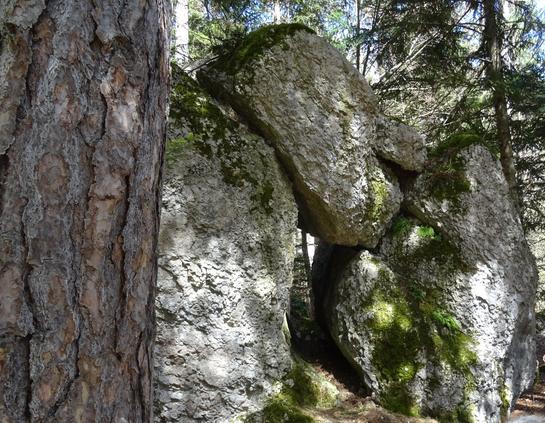 Rochers empilés dans une forêt de pins. Ils forment une arche.