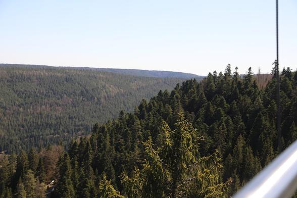 Ein Foto. Bild aus dem Schwarzwald bei Bad Wildbad, südöstlich von Stuttgart

A photo. Picture from the Black Forest near Bad Wildbad, southeast of Stuttgart