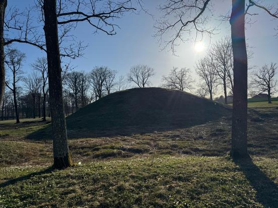 Gravhaugene på Borre i Vestfold | Barrows at Borre in Vestfold, Norway