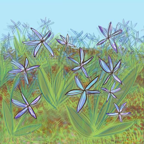 Sketchy drying of purple blue Siberian squill flowers blowing in a spring breeze