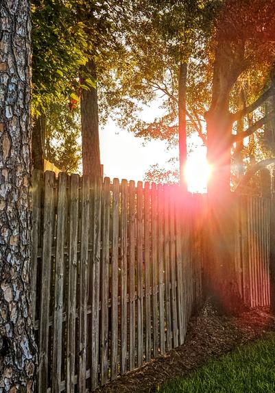 Sunrise glowing over a long wooden fence.