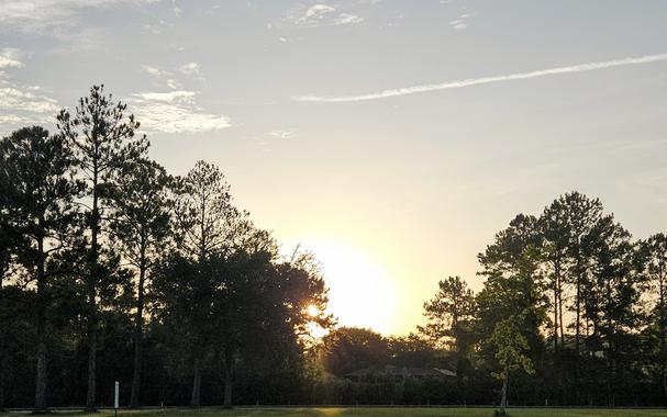 Bright sunrise peeking over a treeline.