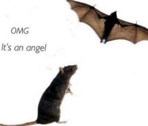 A rat looks up at a bat flying by, and exclaims OMG! It's an angel!