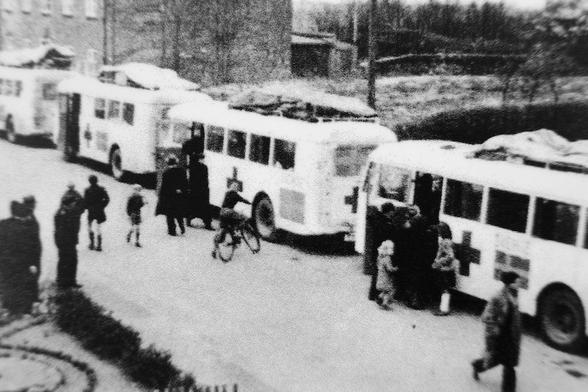 Die weißen Busse  - mit ihnen wurden Todgeweihe aus den Konzentrationslagern nach Padborg in Dänemark evakuiert. Sie fanden in Skandinavien eine neue Heimat.