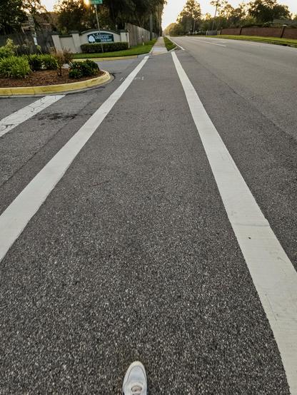 One foot in front of the other as I explore the many diverse neighborhoods of Jacksonville. Here, a white shoe is seen stepping forward in a marked crossing lane next to a quiet roadway.