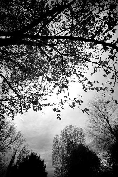 Cocoon under the clouds