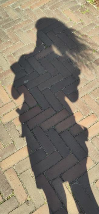 Shadow of myself. My hair is waving in the wind. With some imagination one can see that I'm wearing a dress