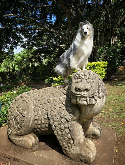 A dog standing on a statue.