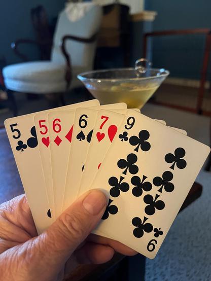 Cribbage hand of 556679