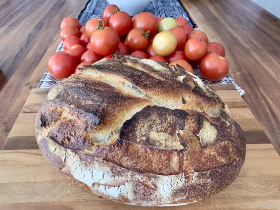 Sourdough loaf and homegrown tomatoes