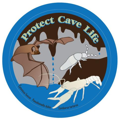 A circular sticker layout where earth tones and blue are are the colors. In a mint green bordered by blue it says on the top "Protect Cave Life". There are brown cave formations and cave background is gray, with blue water below and some drips. Left is a big brown bat, right is a springtail, and bottom right is a cave crayfish.
Their scientific names are in tiny text at the bottom, and IYKYK is hidden within...
Eptesicus fuscus
Pseudosinella dubia
Cabarus tartarus