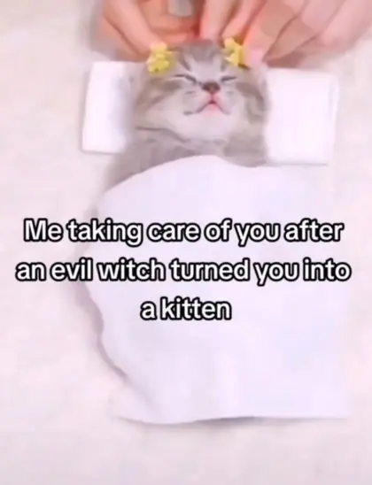 "me taking care of you after an evil witch turned you into a kitten"

image of a sleepy kitten in a napkin bed being peted