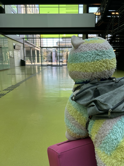 Das Jugendhackt Reisealpaka starrt ungeduldig wartend auf die Eingangstür der Fakultät Informatik Dresden