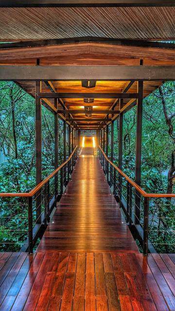 An open wooden corridor sorrounded by greenery in the middle of costa Rican jungle that has recently experienced rain. Dusk time.