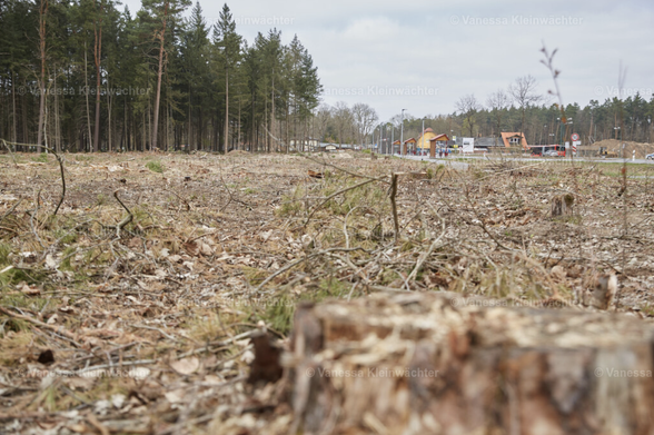 Gerodeter Wald mit einem unscharfen Baumstumpf im Vordergrund und Blick Richtung Bahnhof Fangschleuse im Hintergrund.