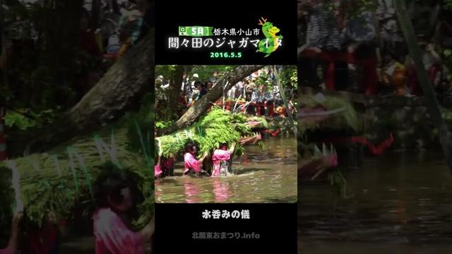 #間々田のジャガマイタ 2016⑤ #栃木県小山市 #奇祭