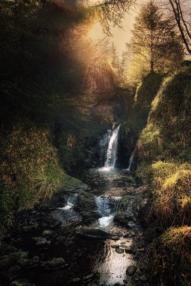 Sunlight streams through the trees, illuminating a small waterfall cascading down moss-covered rocks into a dark stream in a lush forest.