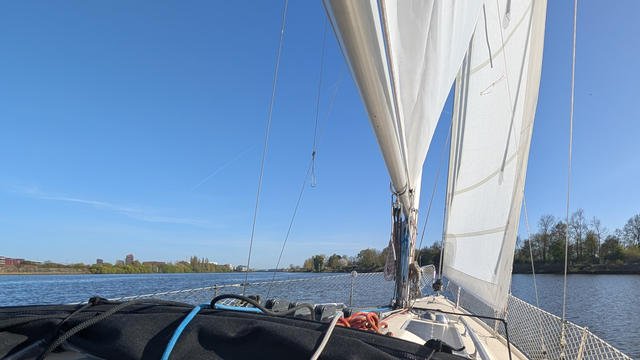 Ein Segelboot bei leichtem Wind und blauem Himmel auf der Weser.