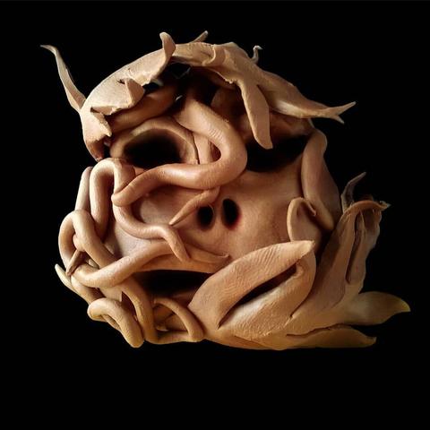 This image shows a sculptural fungus or mushroom specimen with a spherical form and multiple curling, fin-like protrusions extending outward. The organism has a light beige or tan coloration and features several small dark holes or openings in its center. The fungus is photographed against a completely black background, creating a dramatic contrast that highlights its intricate, organic structure. The specimen appears to be a type of basket fungus or similar species with distinctive tentacle-like extensions.