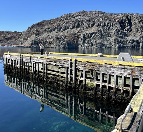 A person standing on a pier stares down into calm harbour water with a near perfect reflection. The pier has battered wood on the sides and a concrete top with bright yellow framing. The person is wearing an orange cap, light yellow t shirt and black pants. The background shows cloudless blue sky and a very rugged rocky coast. The reflection in the water highlights the blues and has some green in the foreground where the harbour bottom is visible. [Cupids (NL, Canada), April 2025]