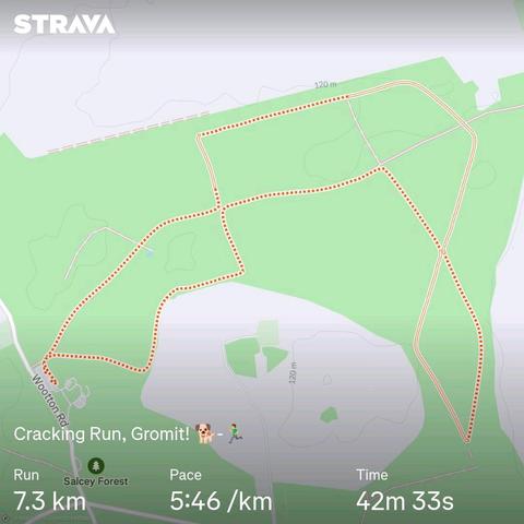 Strava map showing a trail around Salcey Forest