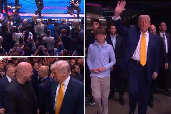 Trump attends UFC fights in Florida with star-studded cast — and receives insane applause while entering arena