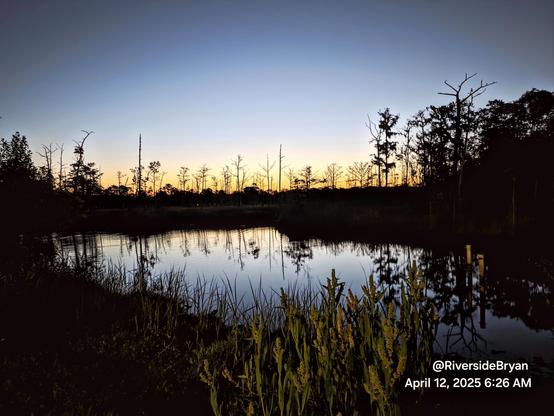 Dark view over a marshy wetland and waterway beneath clear blue skies with a glow of color at the horizon, emphasizing the shadowy silhouettes of the marsh landscape.