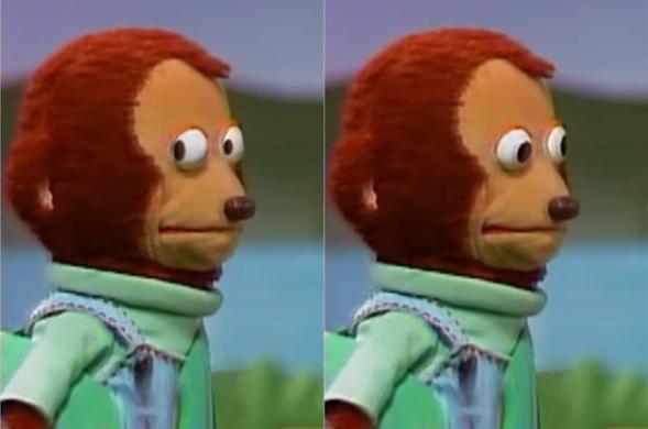 Puppet monkey giving an awkward side eye meme