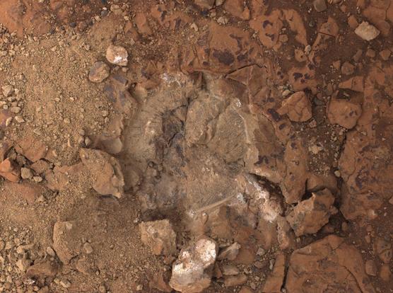 Mars2020_-_Sol_1473_-_WATSON_(54447022691).jpg