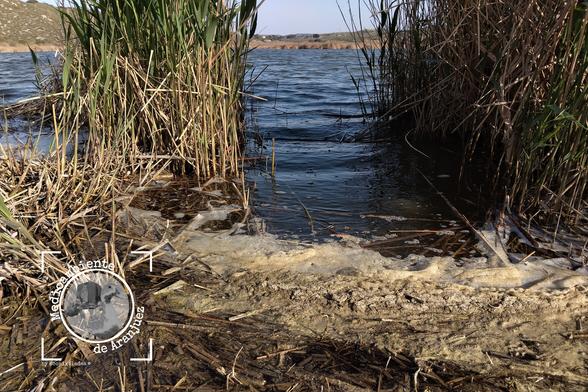 espumas blancas en la orilla del humedal Mar de Ontígola