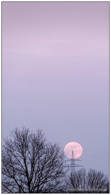 Drei Fotos: tiefstehender Vollmond am zunächst zart rosa-lila gefärbten, mit zunehmender Dunkelheit tiefblauem Himmel, im Vordergrund am unteren Bildrand silhouettenhaft die Zweige kahler Bäume, optisch komprimiert durch die Verwendung einer langen Brennweite.