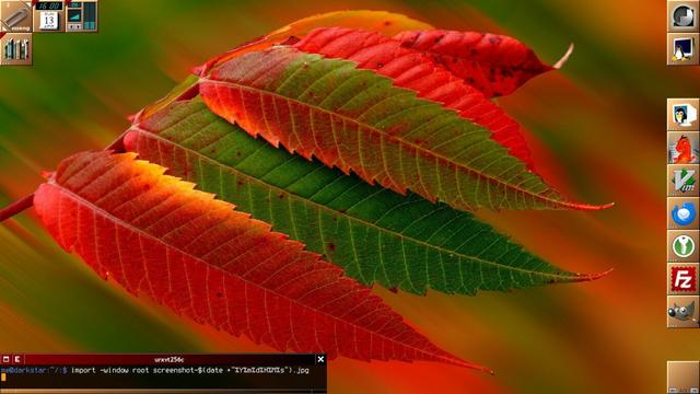 Windowmaker - screenshot