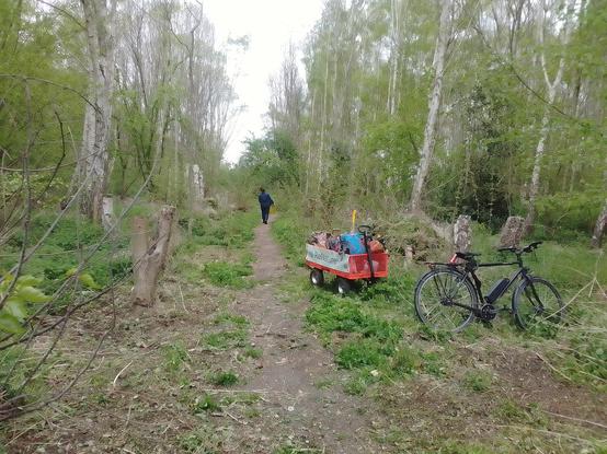 View northward up the top section of the new ride in Wick Woodland