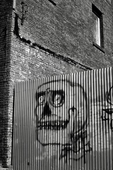 Skull graffiti