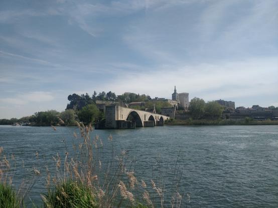 Photo du pont d'Avignon avec derrière le palais des papes. Devant il y'a des roseaux et le Rhône.