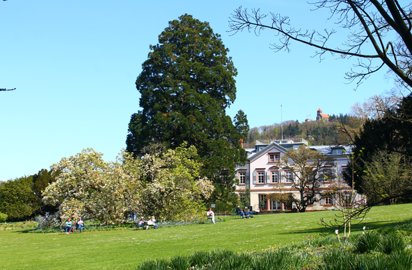 Der Weinheimer Hermannshof, ein Schau- und Sichtungsgarten. Zu sehen: eine Wiese mit Bäumen, Menschen auf Gartenstühlen, eine Villa – dahinter ein Berg mit Burg.