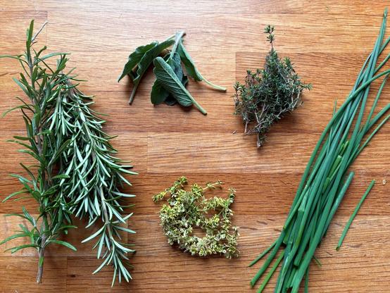 Herbs from the garden on a wooden desk: rosemary, sage, thyme, lemon thyme, and chives.