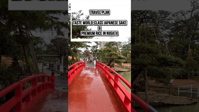 Niigata Travel Plan | Taste World-Class Japanese Sake & Premium Rice