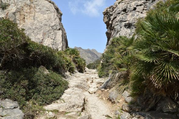A photo of a gap between two rocky cliffs. The cliffs have fan palms on them. The sky is blue and hills can be seen in the distance.
