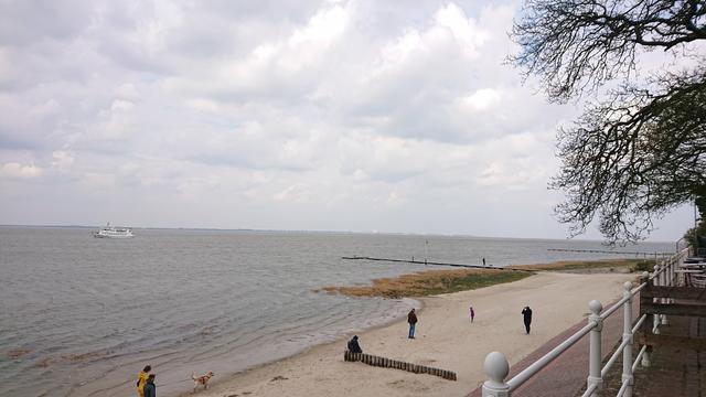 Mehr Strand, Wasser, Boot, etwas Ufer mit Menschen, Buhnen, Zaun und den Ästen eines Baumes.