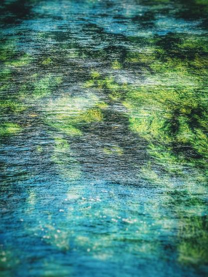 Sunlight dances on the surface of a clear, flowing river, revealing vibrant green aquatic plants swaying beneath the gentle ripples. The water transitions from a darker blue in the foreground to a lighter, more reflective turquoise further away.