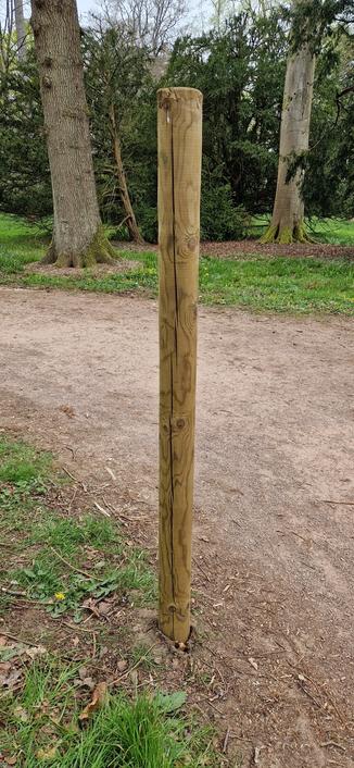 A wooden post next to a path with tall trees all around. There's nothing on the post so it's a bit of a mystery why it's there.